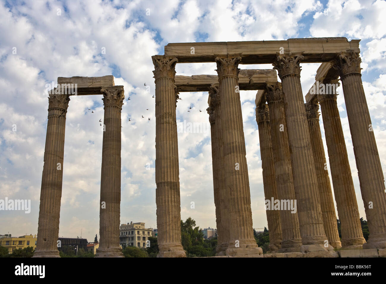 Ruins of the Temple of Zeus in Athens Greece with birds Stock Photo