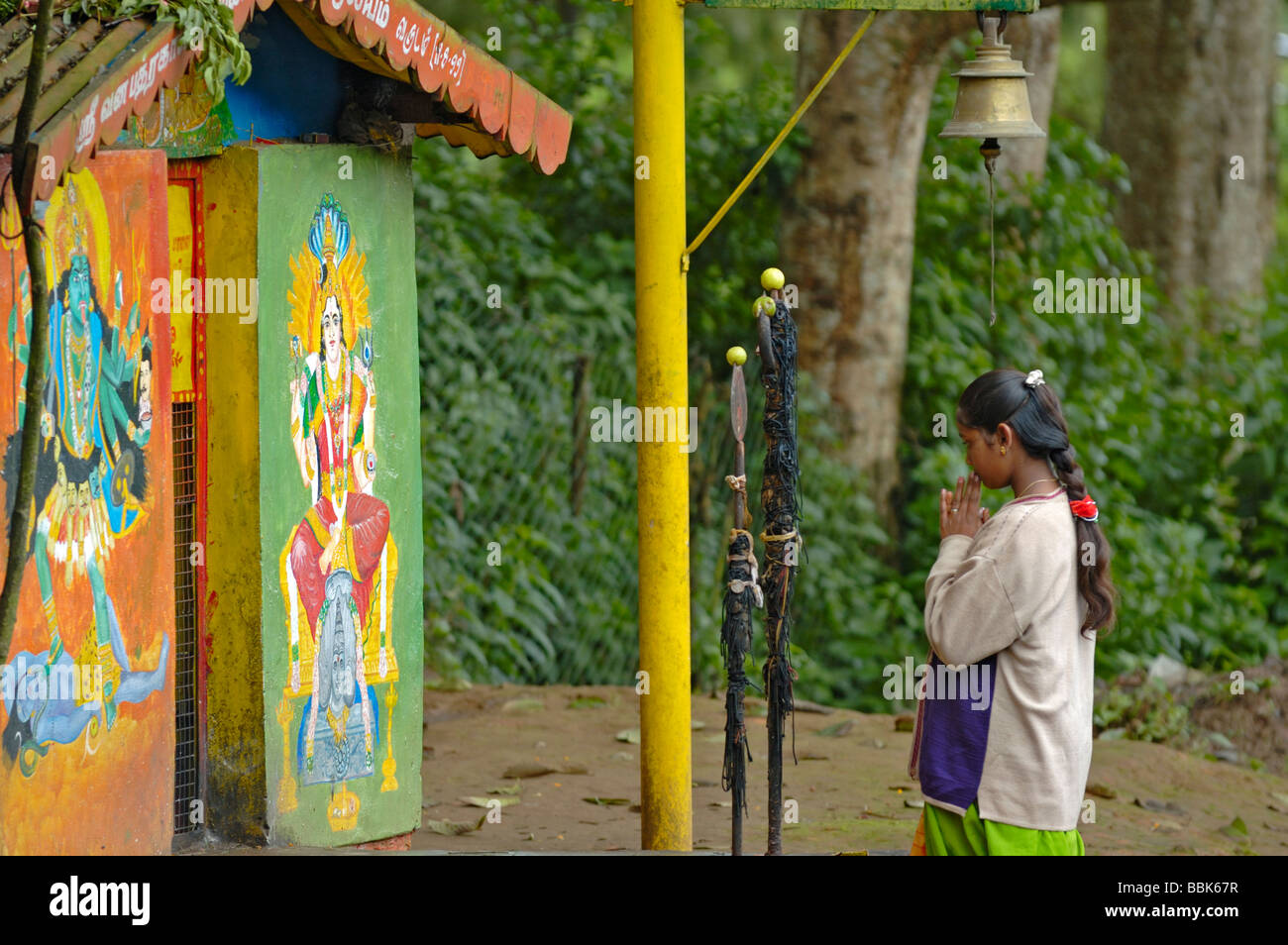 India, Tamil Nadu, Ooty (Udhagamandalam). Indian woman worshipping at a small local shrine in Ooty. No releases available. Stock Photo