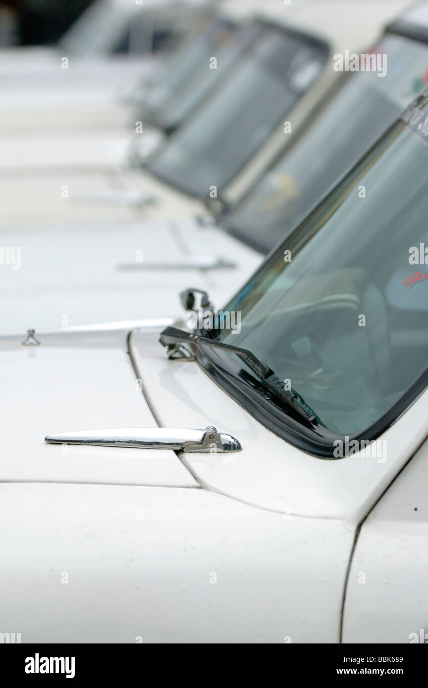 Line up of typical white indian Ambassador taxis in Coonoor. India, Tamil Nadu, Coonoor. Stock Photo