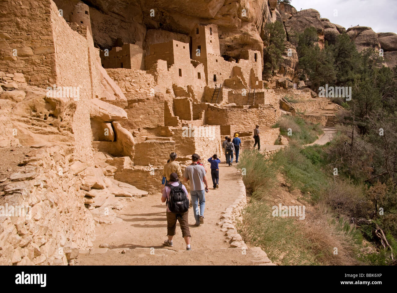 USA Colorado Cortez Mesa Verde National Park Cliff Palace Ranger leads ...