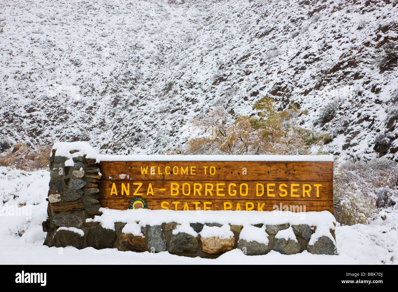 are dogs allowed at anza borrego state park