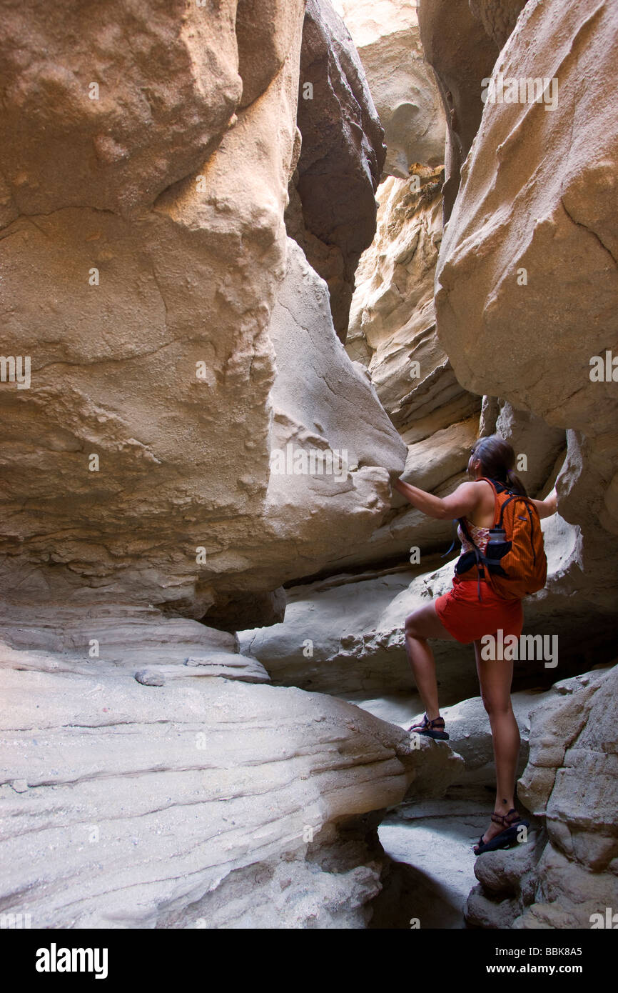 Anza-borrego