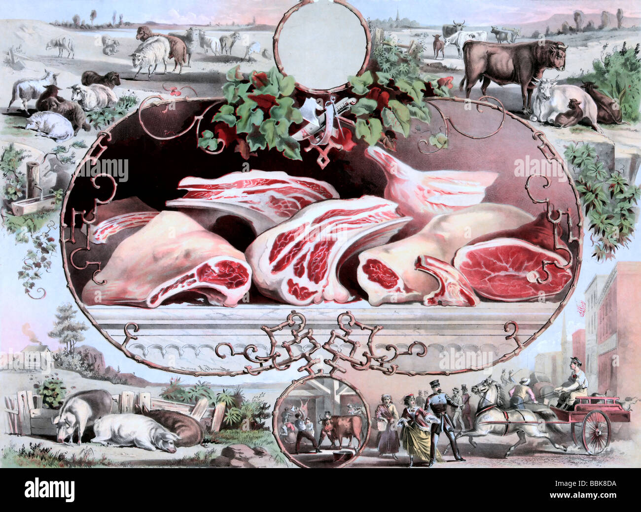 Advertisement showing cuts of meat, sheep, cattle, pigs, animal slaughter, and transportation of dead animals by wagon Stock Photo