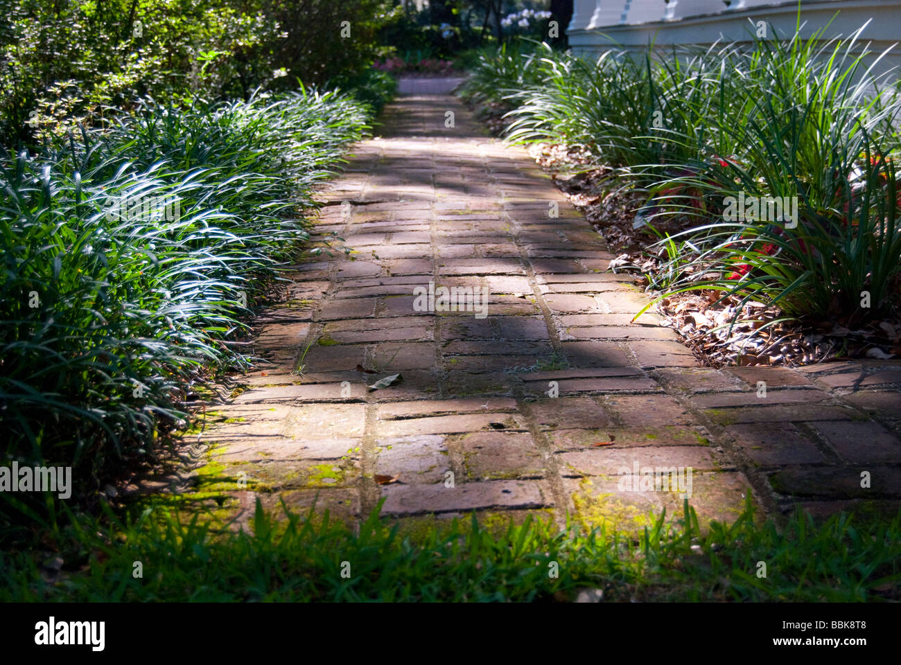 Brick path in Eden Gardens State Park, Santa Rosa Beach, Florida. Stock Photo