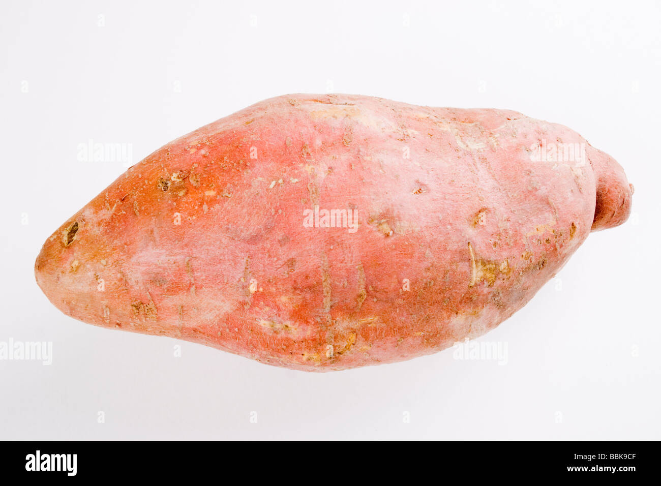 Giant sweet potato Stock Photo