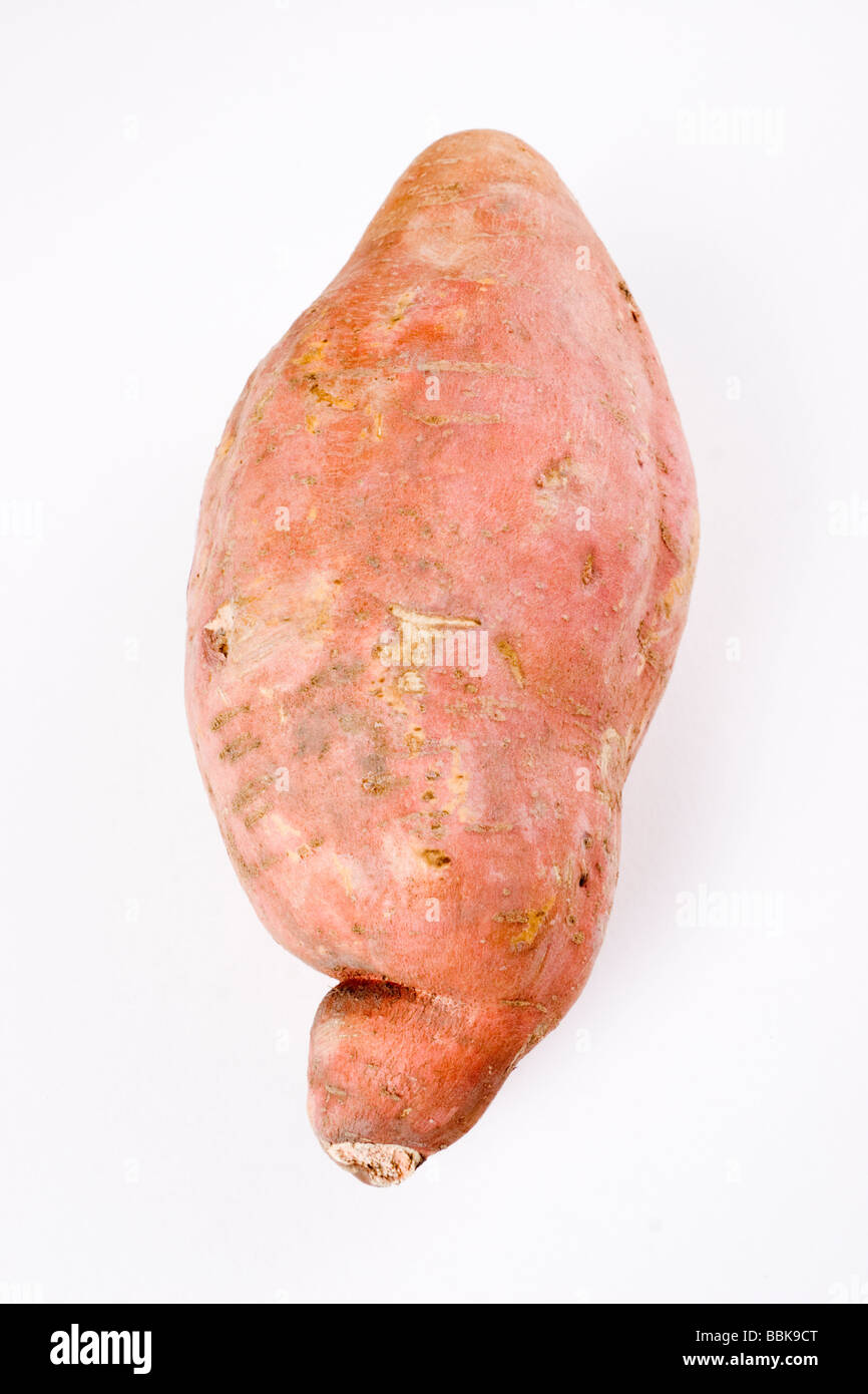 Giant sweet potato Stock Photo