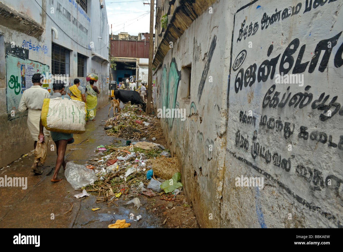Small lane full of garbage at market time. India, Tamil Nadu, Madurai.  No releases available. Stock Photo