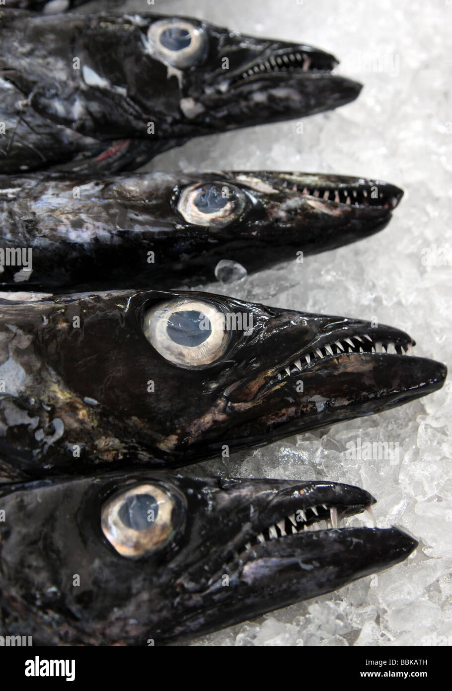 Espada for sale in Funchal market fish that lives eight fathoms deep Stock Photo