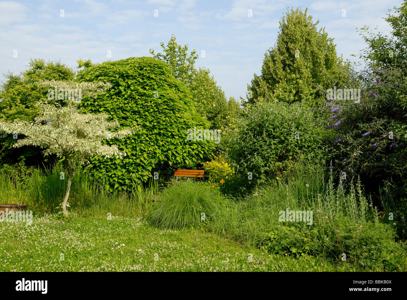 Botanik wild hi-res stock photography and images - Alamy