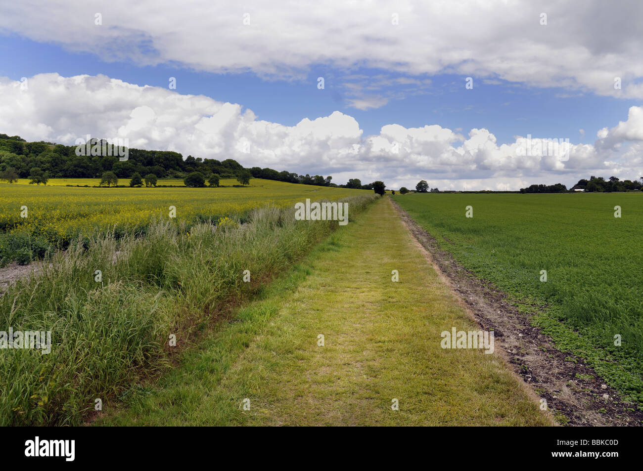 Hampshire footpath with fields Stock Photo