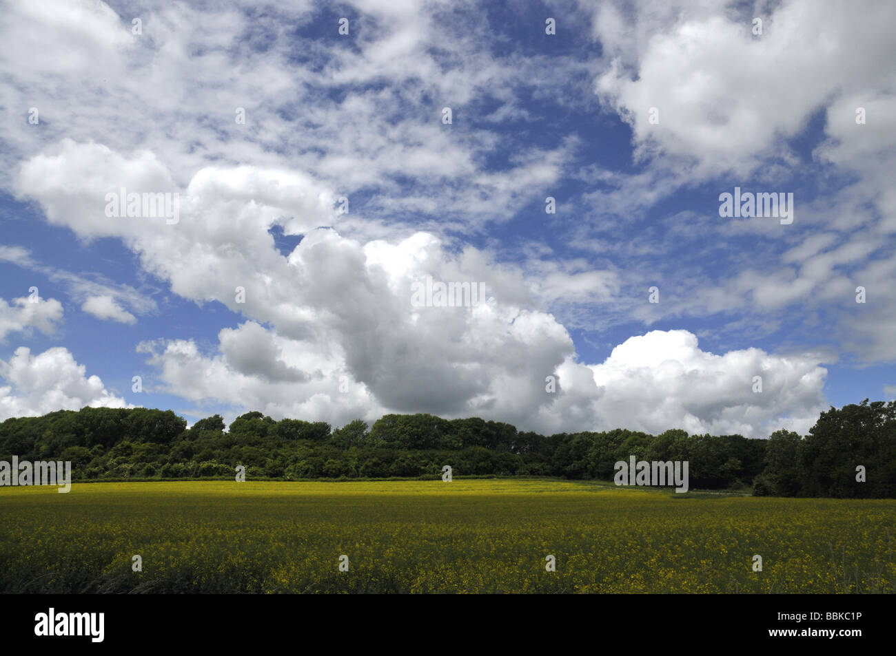Blue sky over English countryside Stock Photo