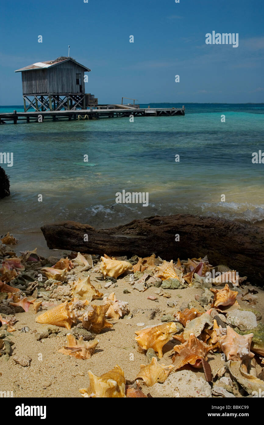 Tobacco Caye Jetty Stock Photo