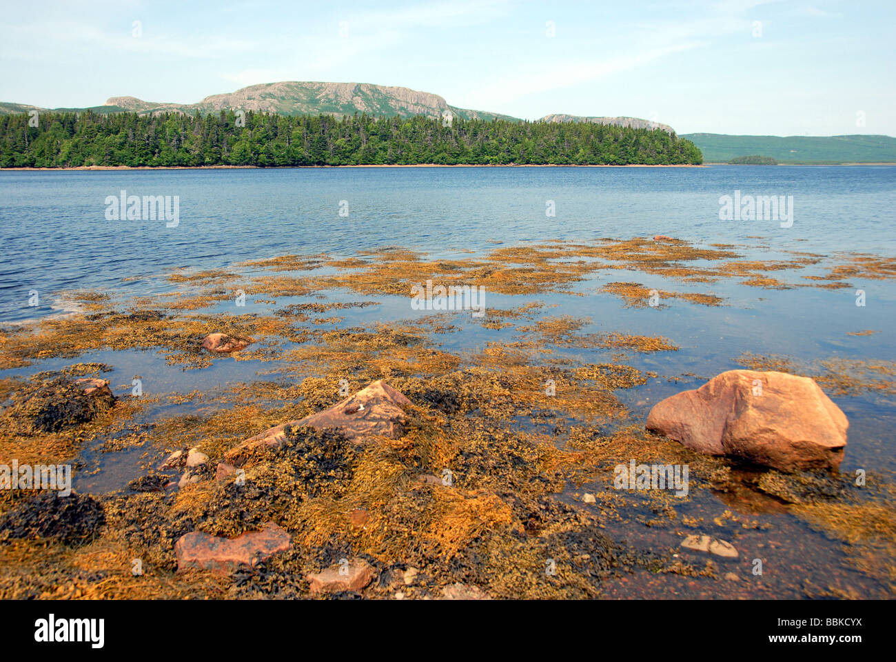 Swift Current Newfoundland Canada Stock Photo