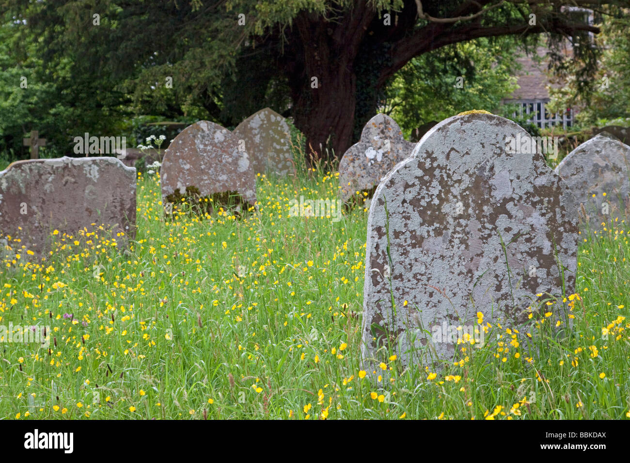Consecration stone hires stock photography and images Alamy