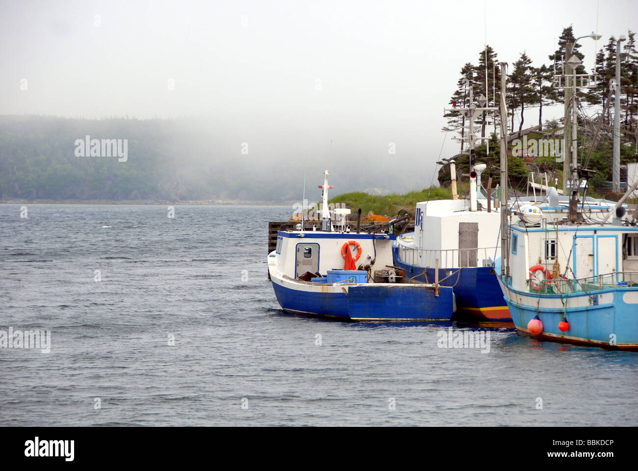 Southern Harbour Newfoundland Canada Stock Photo Alamy
