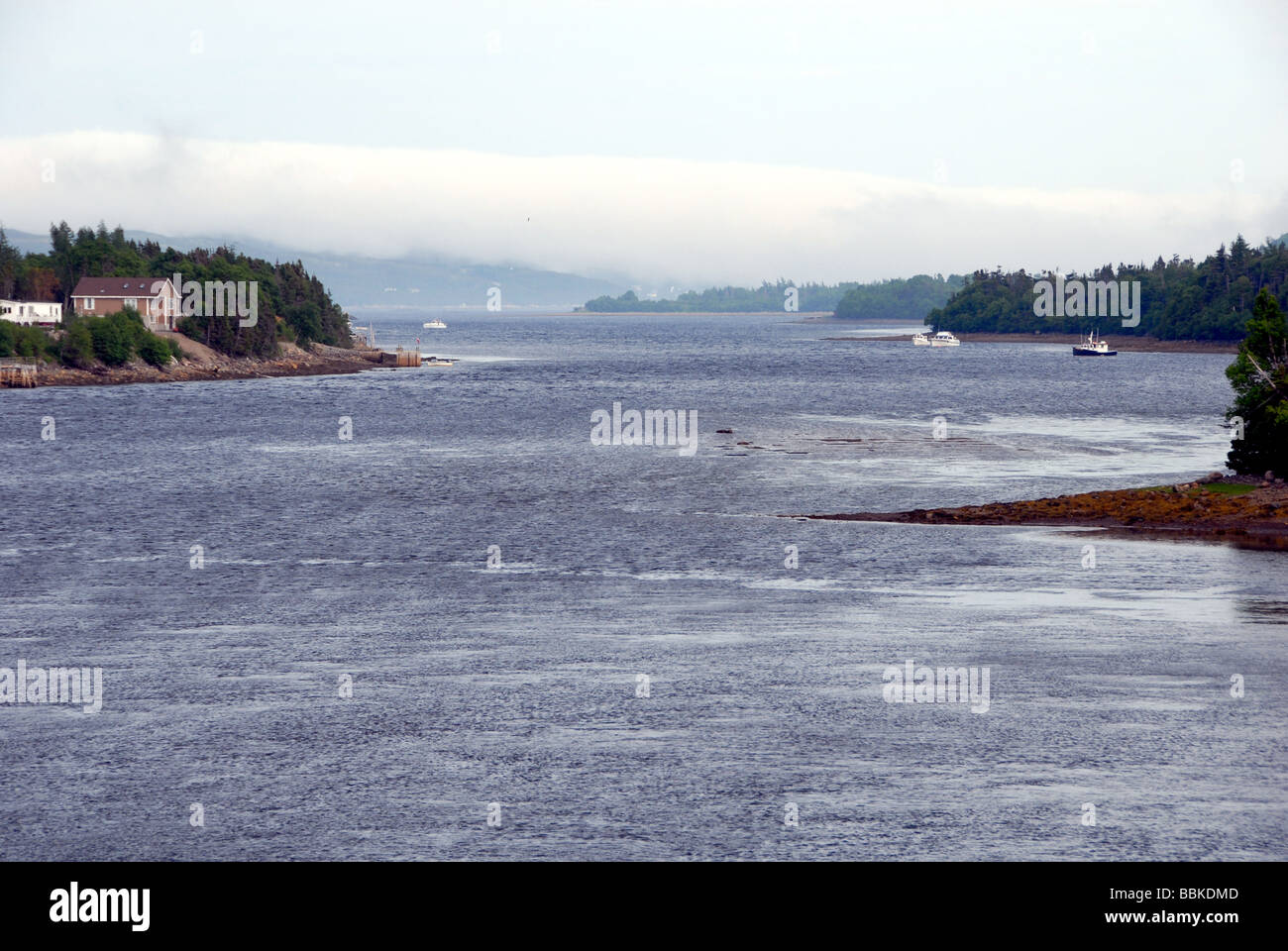 Swift Current Newfoundland Canada Stock Photo
