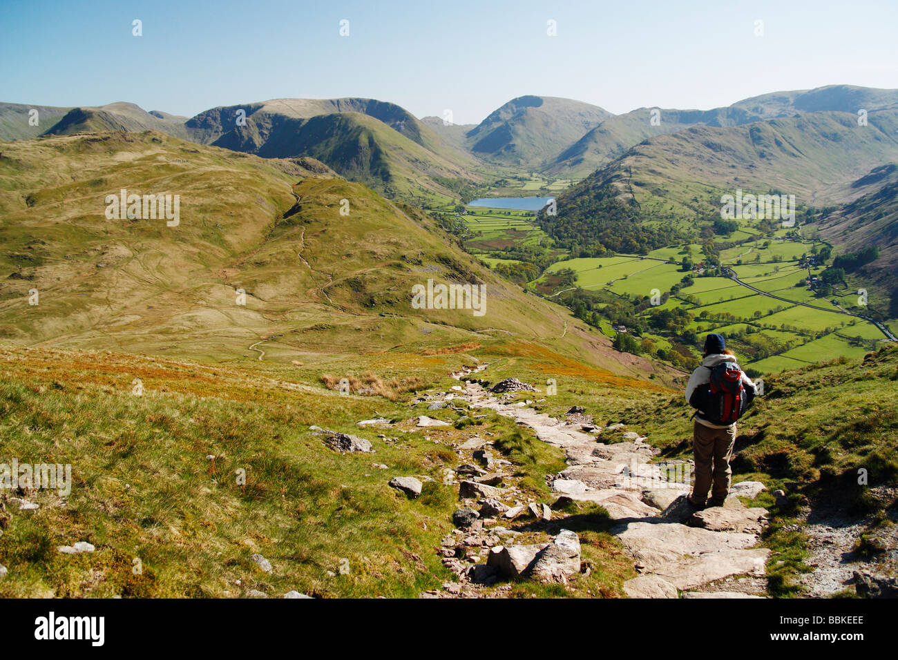 Female hiker on the descent to Patterdale and Glenridding from summit of Place Fell near Ullswater. Stock Photo