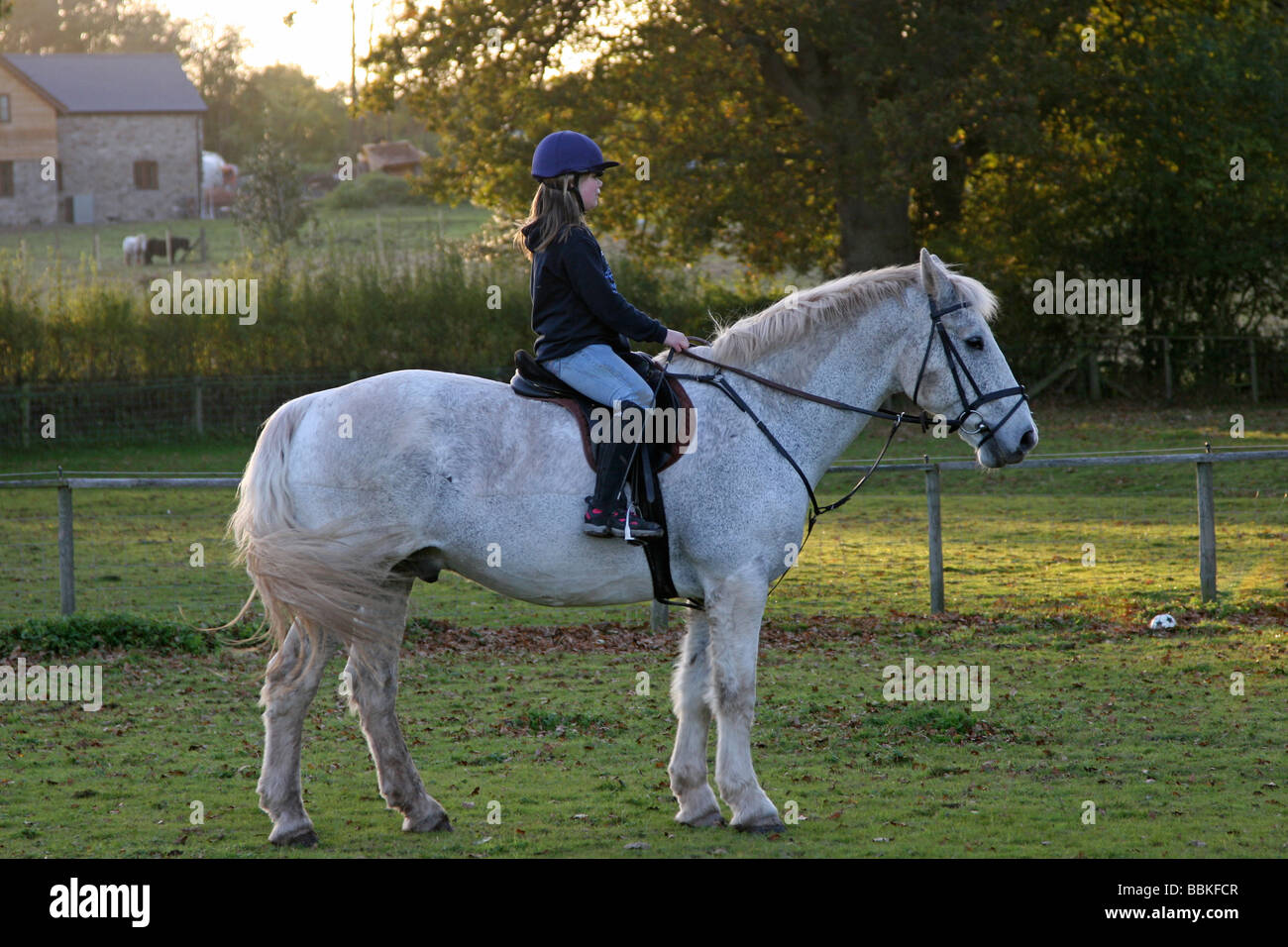 Child pony ride hi res stock photography and images Page 15 Alamy
