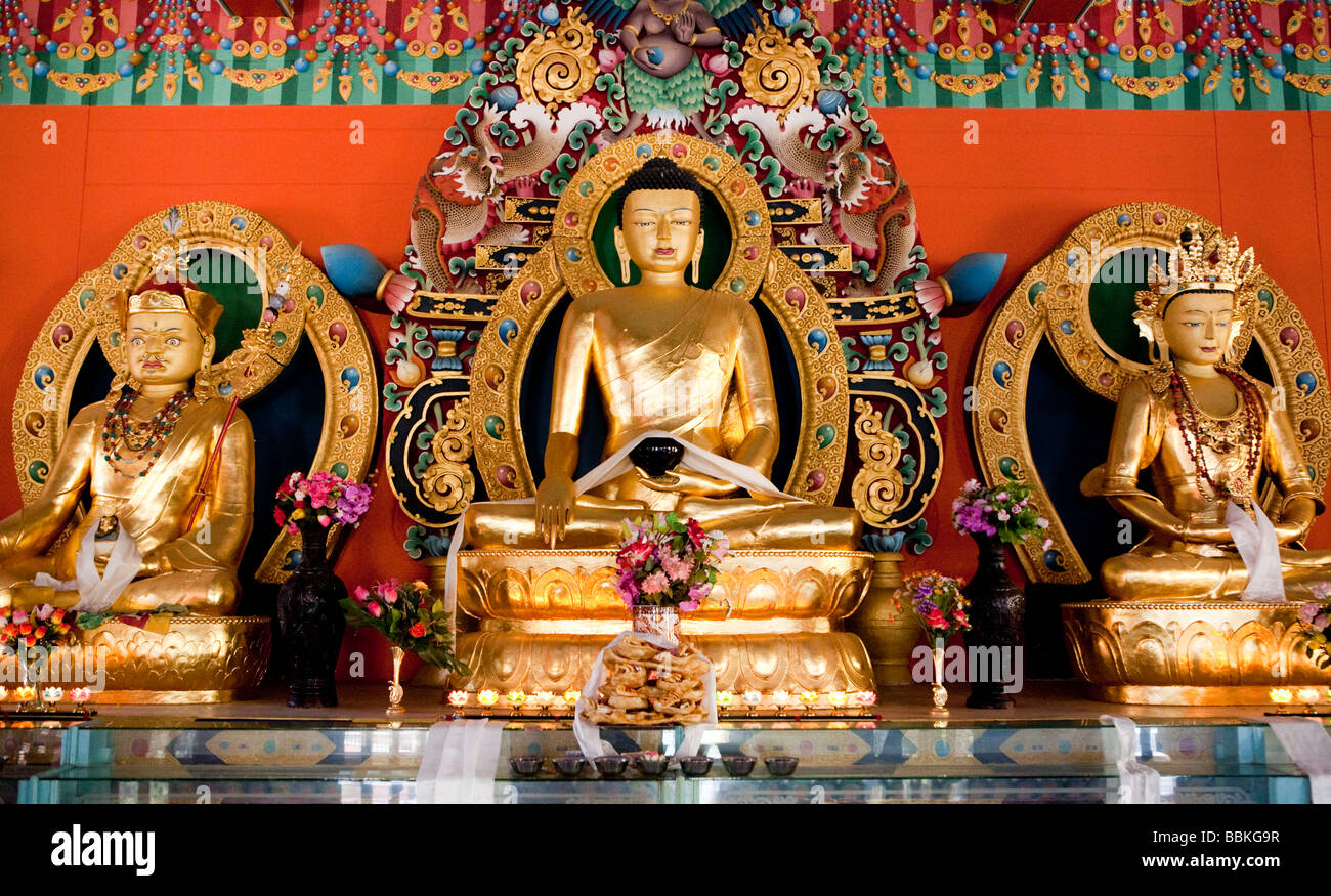 Golden Buddhas Namdroling Tibetan Monastery Bylakuppe Koorg Karbataka India Stock Photo