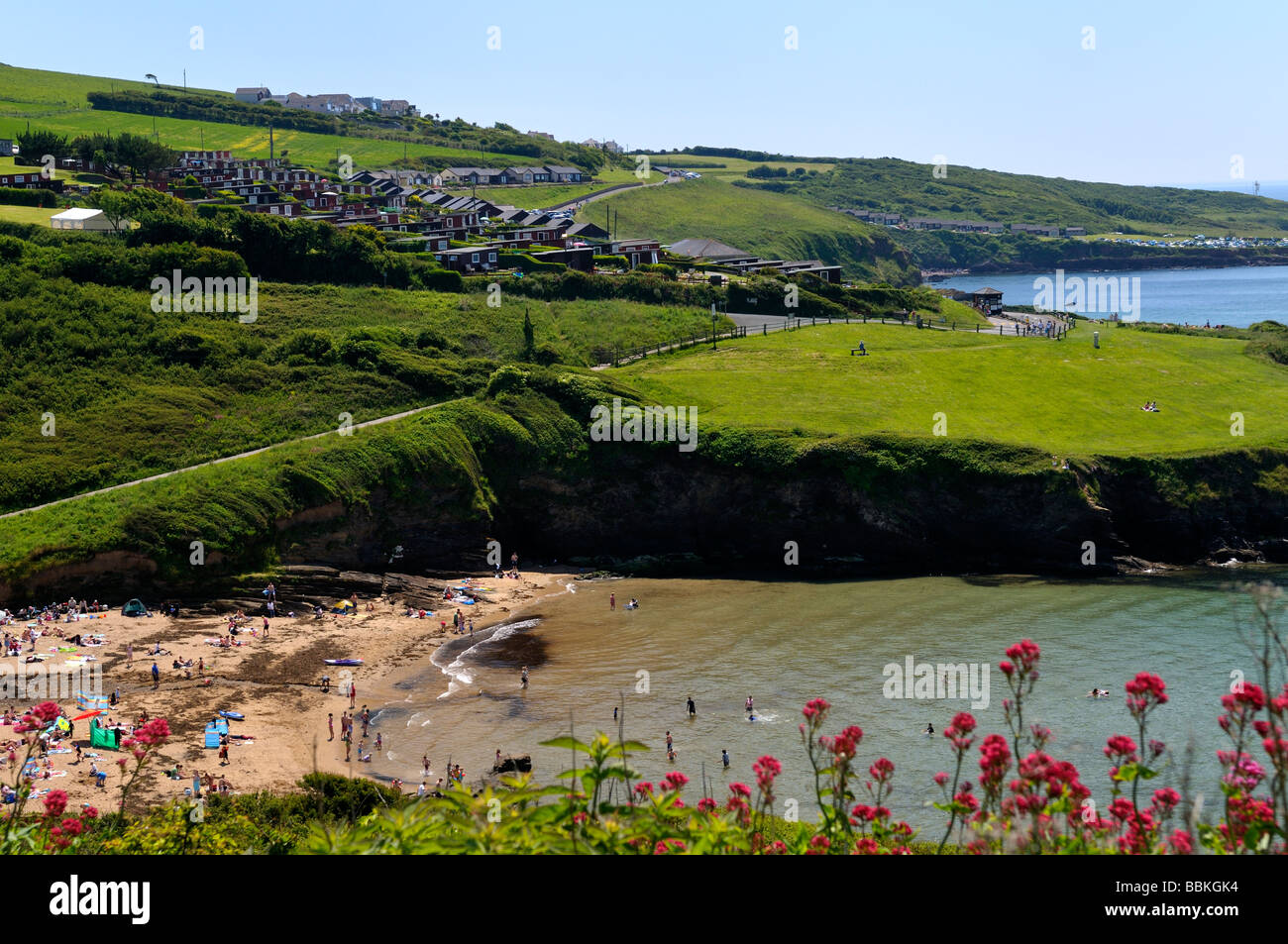 bovisand-bay-beach-and-headland-plymouth-devon-uk-stock-photo-alamy