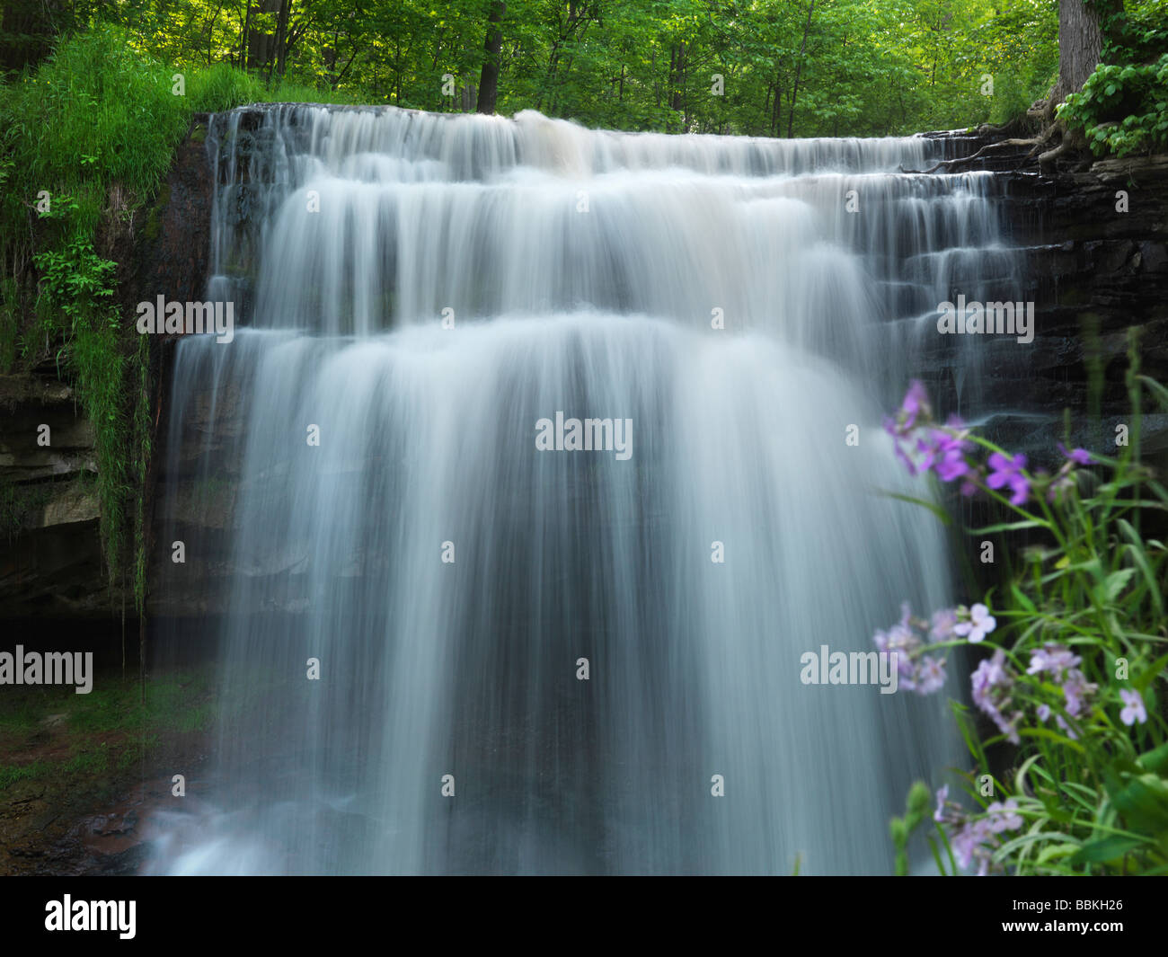 Great Falls Cascade waterfall Stock Photo Alamy