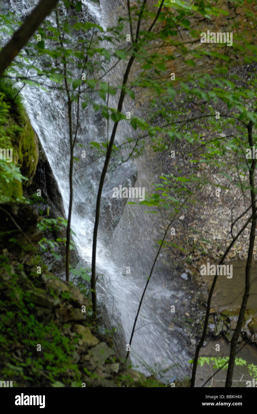 Waterfall water hamilton trees hi-res stock photography and images - Alamy