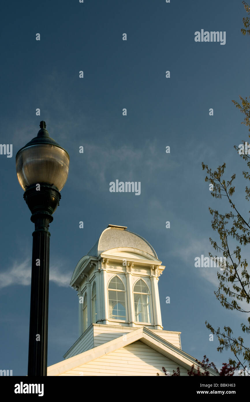 Street light and silverdomed cupola of Mitchell County Courthouse