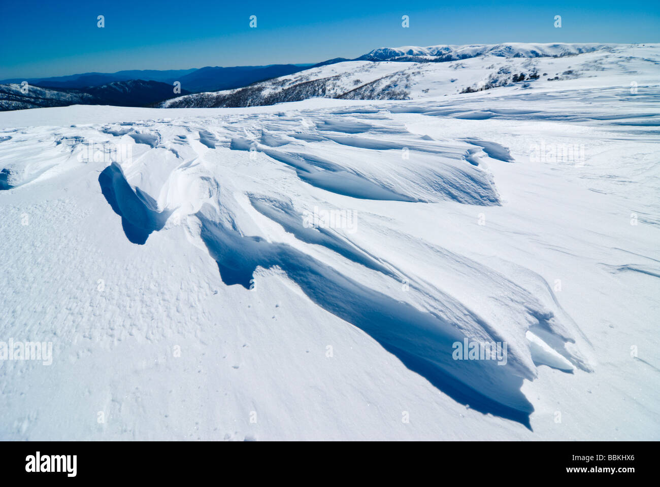 Cold plains. Cold plains