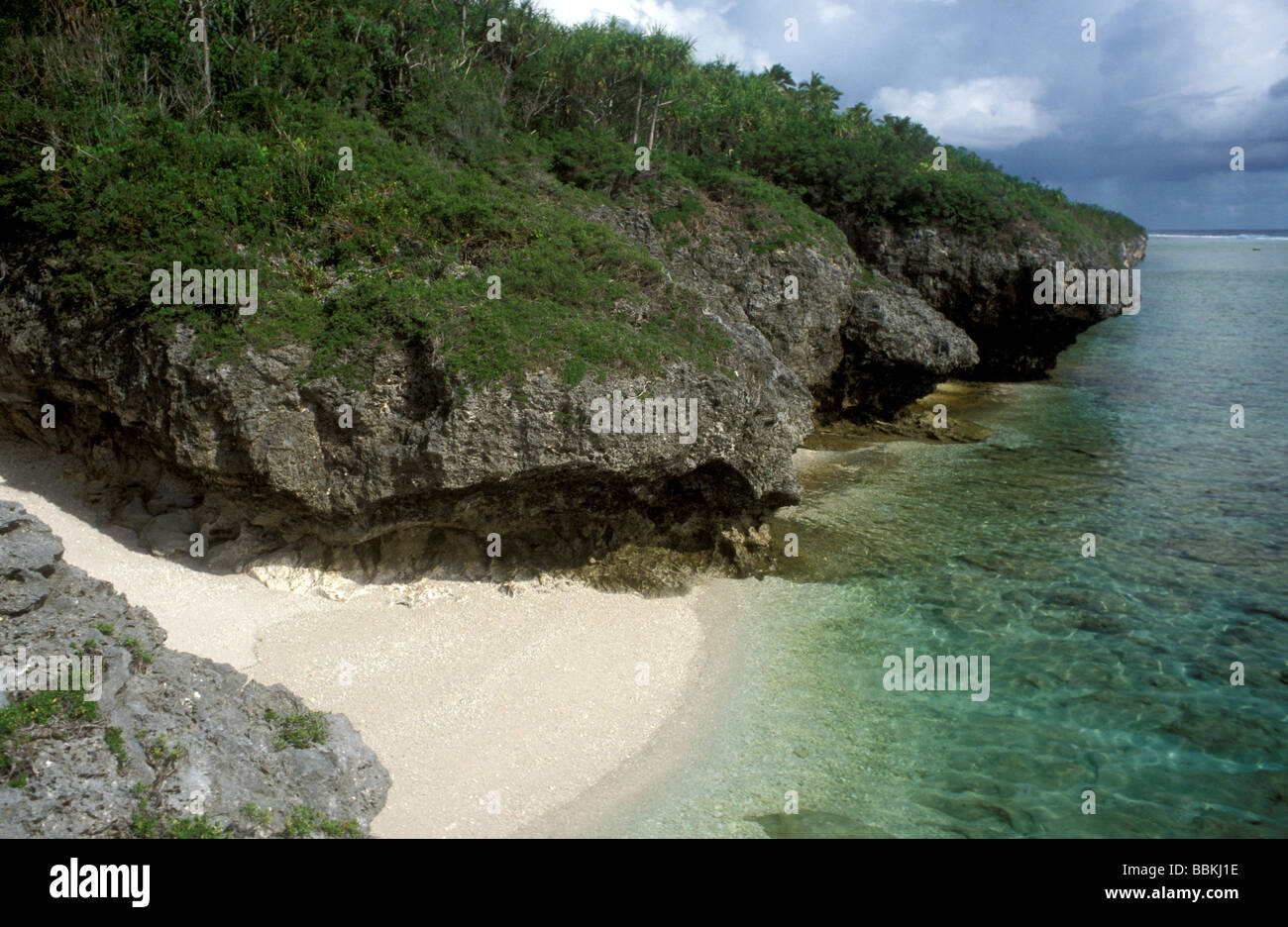 Cook island music mp3 downloads Cook island music mp3 downloads
