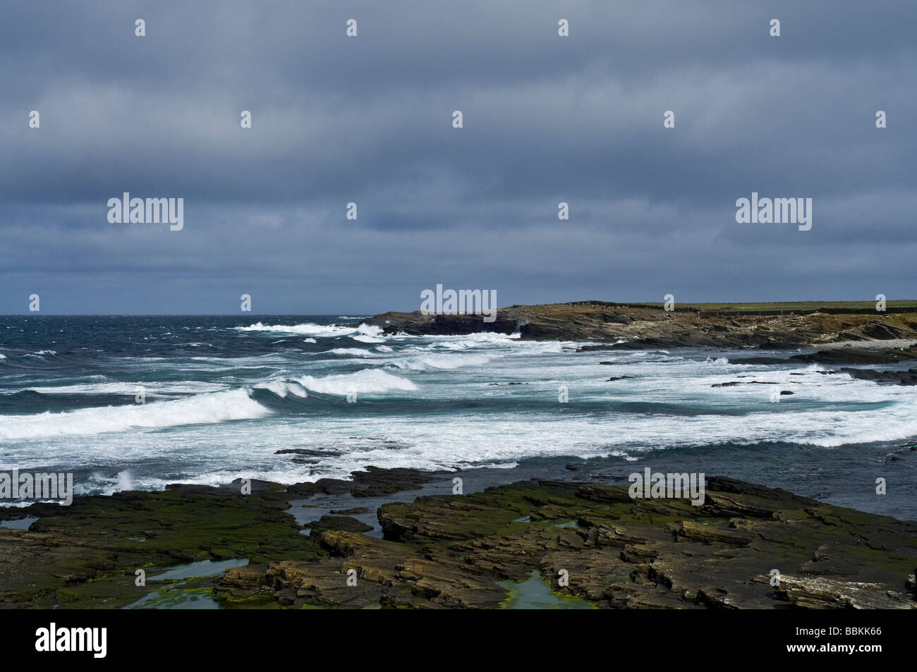 dh Bay of Ryasgeo NORTH RONALDSAY ORKNEY The Staff headland stormy weather white waves and rocky coastline Stock Photo