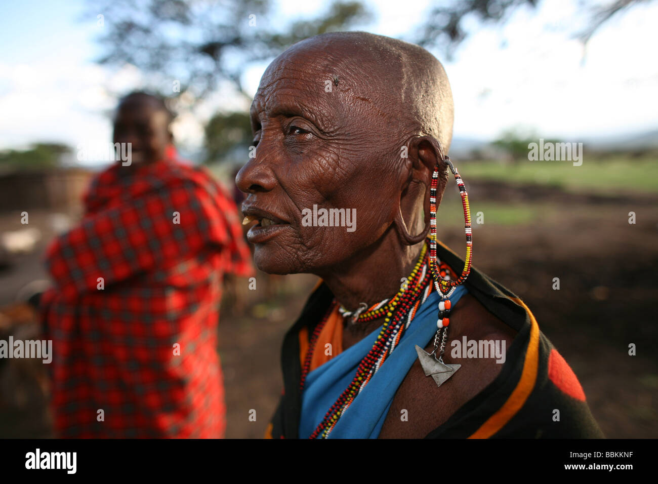 Ngoiroro is a village of 200 inhabitants all belonging to the Massai Tribe The village lays right in the rift valley south of Nairobi against the tanzanian border The Massai live very close to nature and their animals The cows and goats are more important then money to the massai Each family owns around 50 cows and 50 goats The main diet of the villagers is meat and milk The women are suppose to milk the cows twice a day and the small boys have to look after the herd during the day while grazing Stock Photo