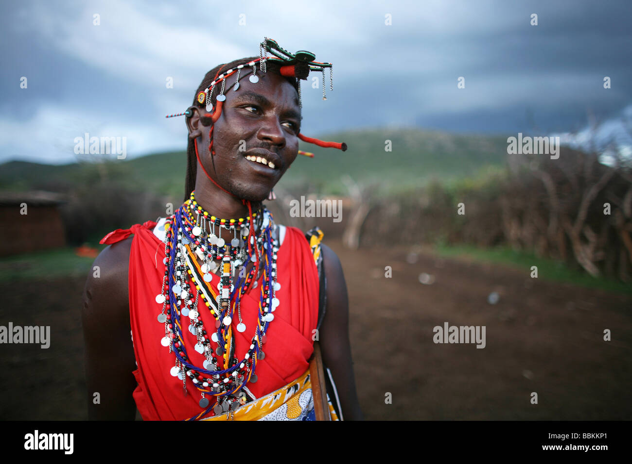 Ngoiroro is a village of 200 inhabitants all belonging to the Massai Tribe The village lays right in the rift valley south of Nairobi against the tanzanian border The Massai live very close to nature and their animals The cows and goats are more important then money to the massai Each family owns around 50 cows and 50 goats The main diet of the villagers is meat and milk The women are suppose to milk the cows twice a day and the small boys have to look after the herd during the day while grazing Stock Photo