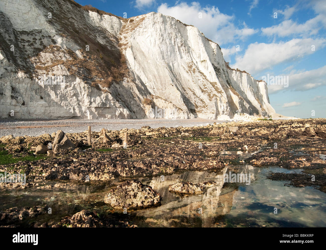 The chalk cliffs and foreshore at St Margarets at Cliffe St Maargaret's Bay near Dover Kent Stock Photo