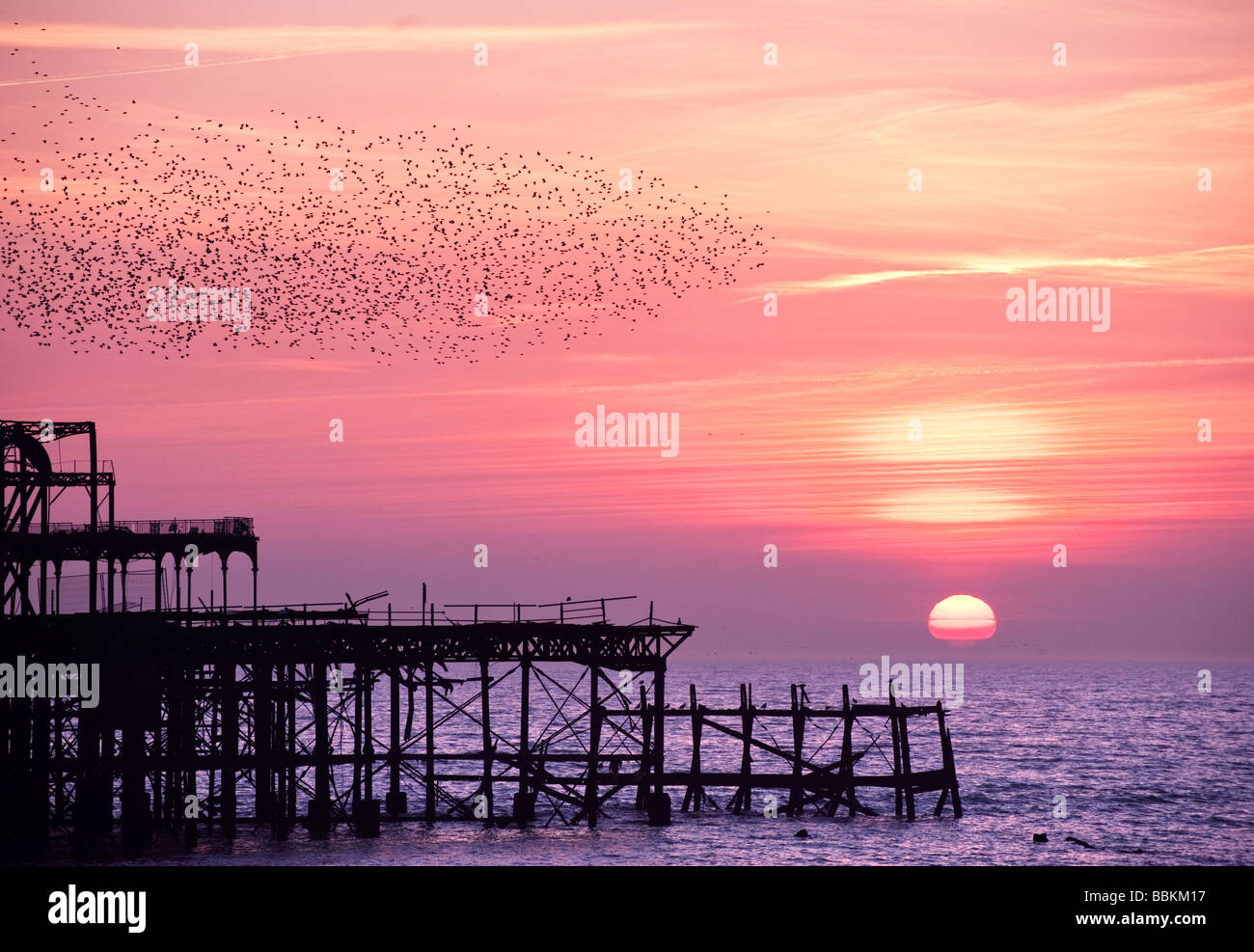 Starlings in flight at sunset over the ruined West Pier Brighton Stock Photo