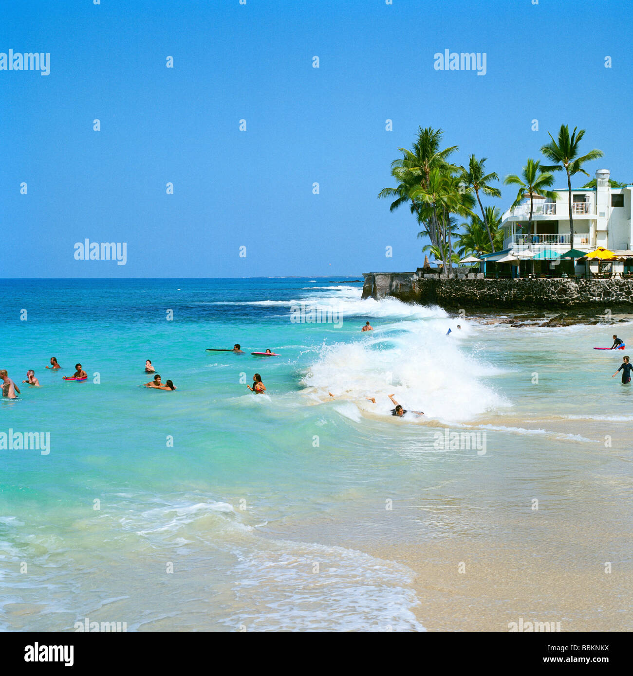 White Sands Beach Kona Coast Big Island Hawaii Stock Photo: 24405694