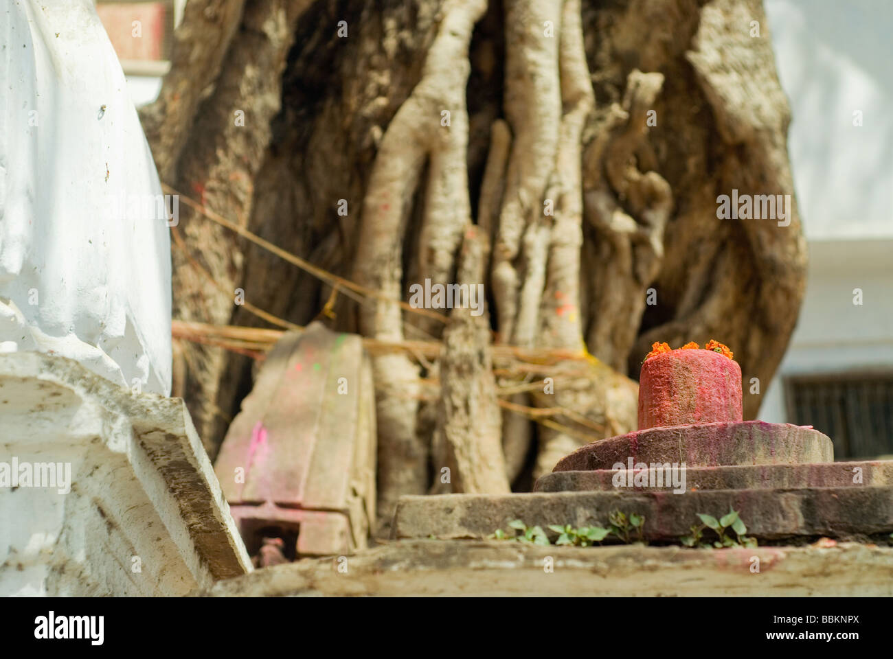 Shiva linga - object of worship for the Hindus. Holi festival, Varanasi, India. Stock Photo