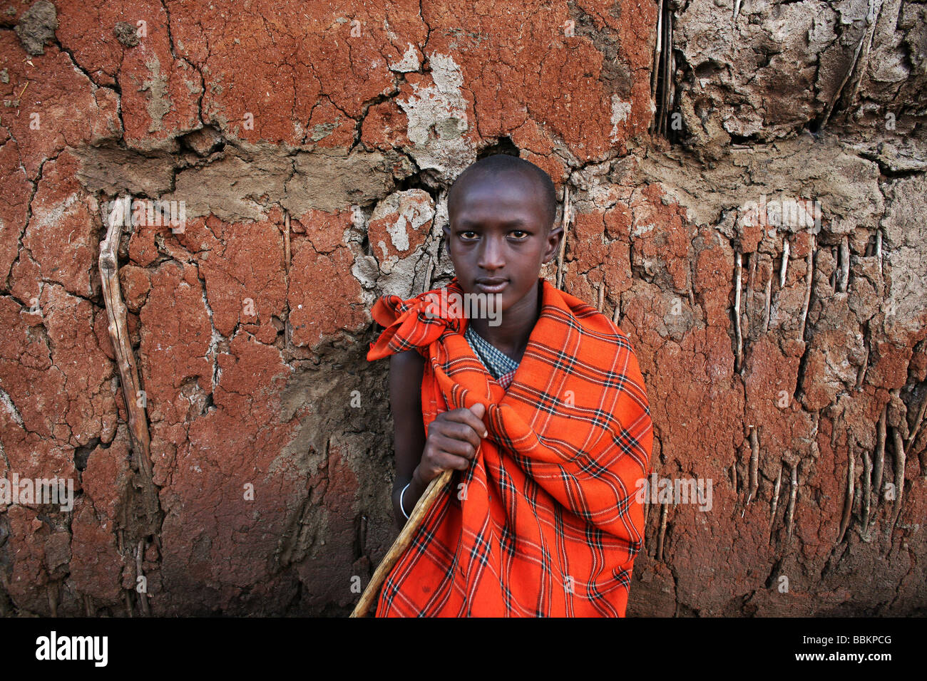 Ngoiroro is a village of 200 inhabitants all belonging to the Massai Tribe The village lays right in the rift valley south of Nairobi against the tanzanian border The Massai live very close to nature and their animals The cows and goats are more important then money to the massai Each family owns around 50 cows and 50 goats The main diet of the villagers is meat and milk The women are suppose to milk the cows twice a day and the small boys have to look after the herd during the day while grazing Stock Photo