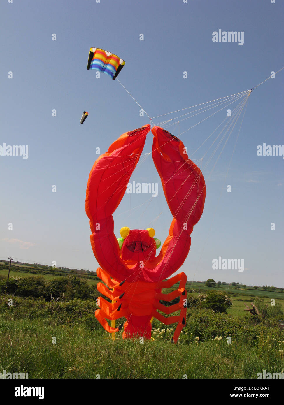 large red lobster flying a kite.wierd Stock Photo