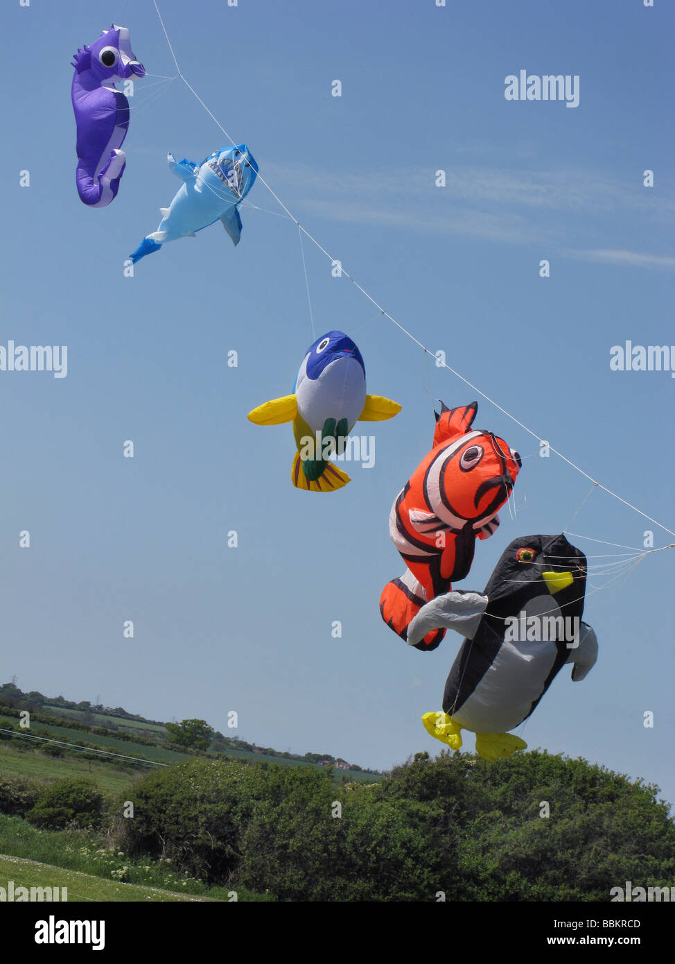 trailling kites of sea creatures against a clear blue sky Stock Photo
