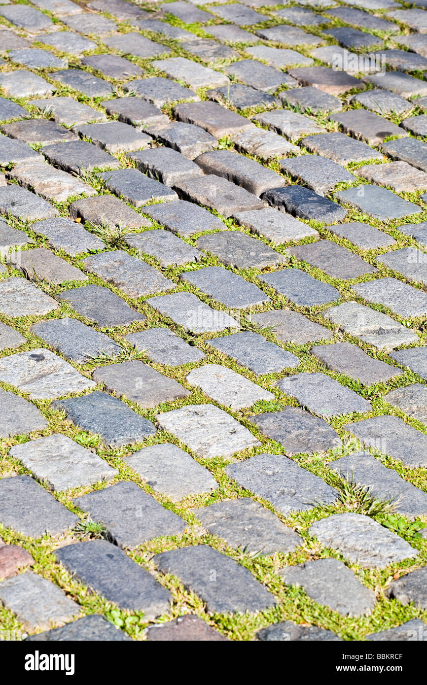 paving stones with grown grass Stock Photo Alamy