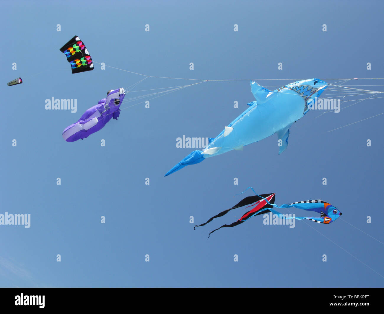 multiple kites flying in the air,animals and fish,colourful.clear blue sky Stock Photo