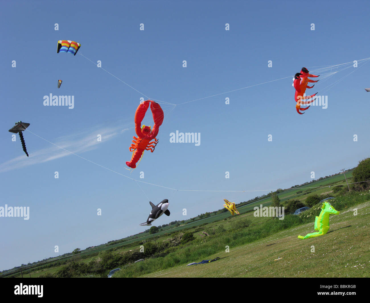 multiple kites flying in the air,animals and fish,colourful. Stock Photo