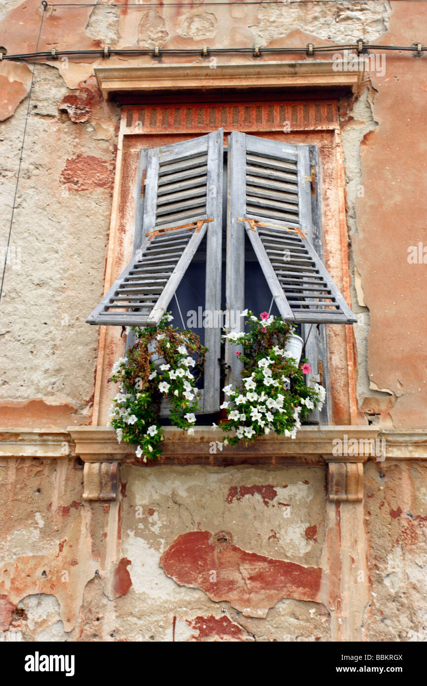 Derelict window with flowers and shutters, Pula, Istria, Croatia Stock Photo