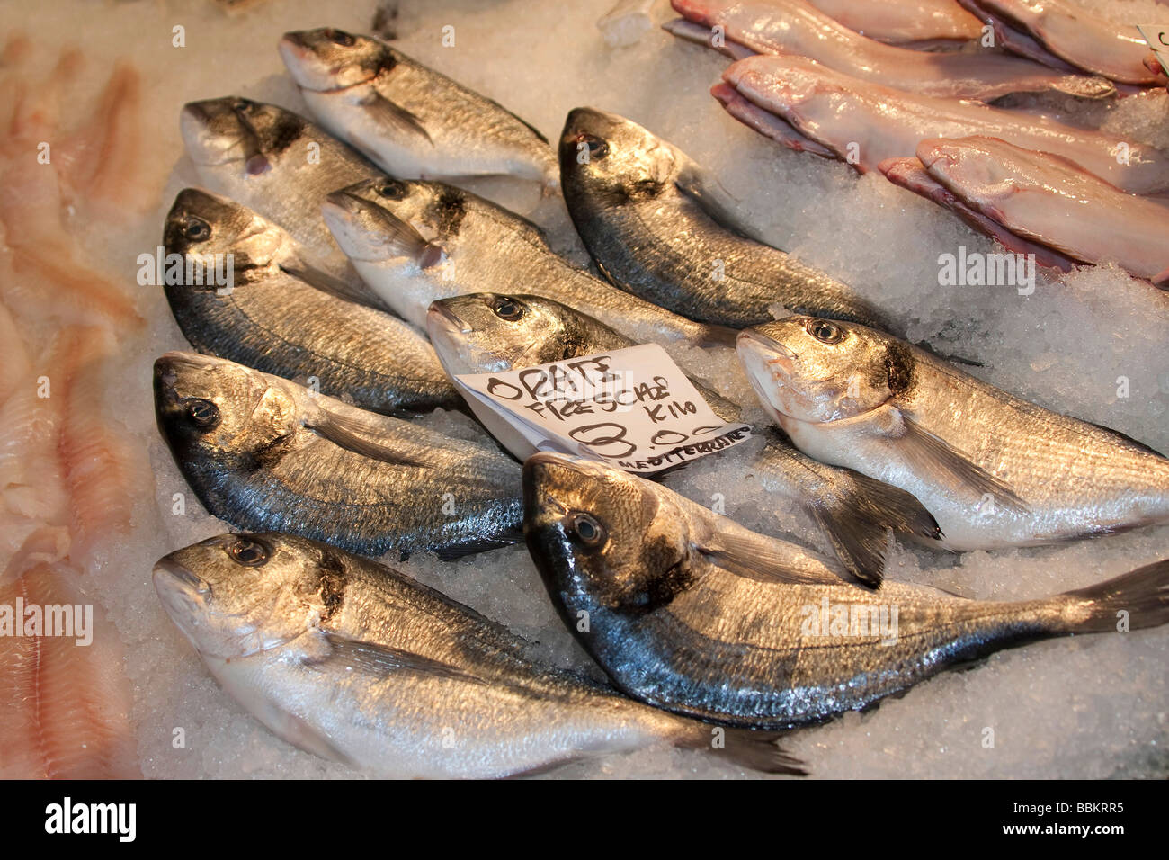 Fresh fish on ice in fish market Venice Italy 90465Venice Stock Photo