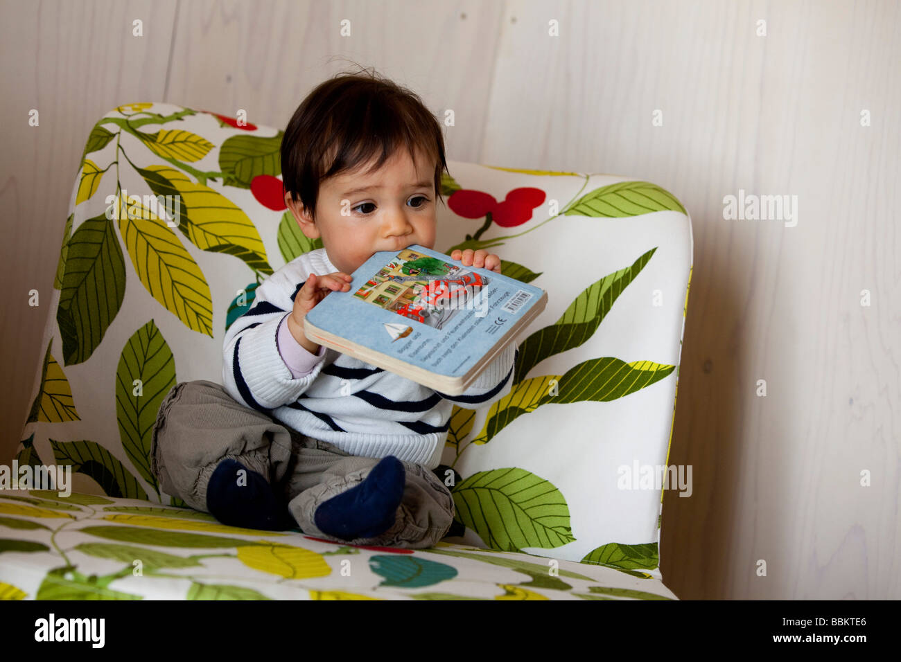 Nine-month-old baby sitting in a chair and biting into a book Stock Photo