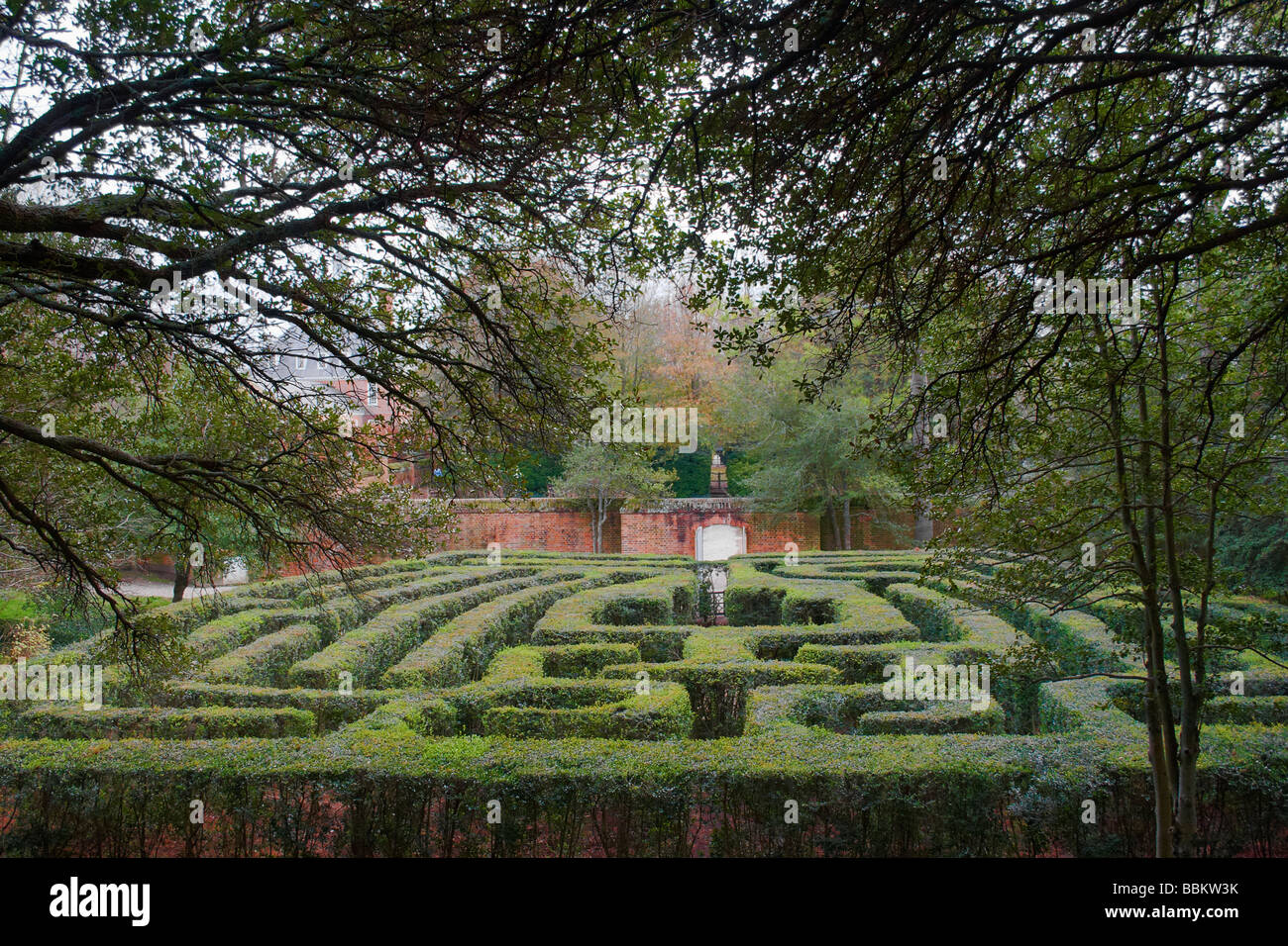 The American holly Ilex opaca hedge maze in the gardens adjacent to the ...