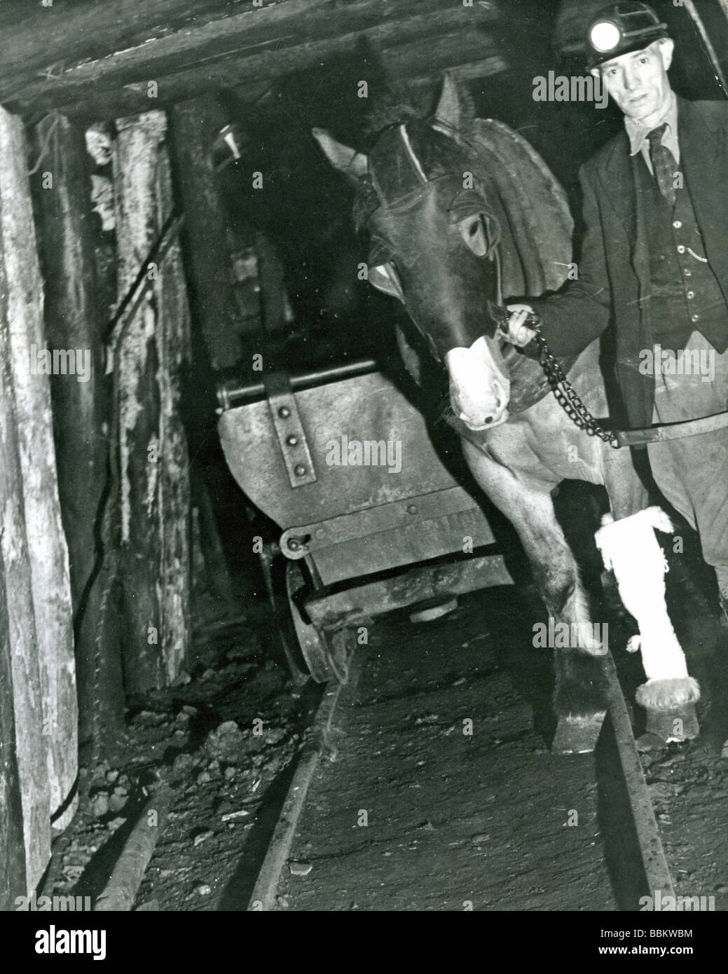 COAL MINING - Avon Colliery, Glamorgan, South Wales,1946. Farrier David Owen leads an injured horse Egypt out of the mine Stock Photo