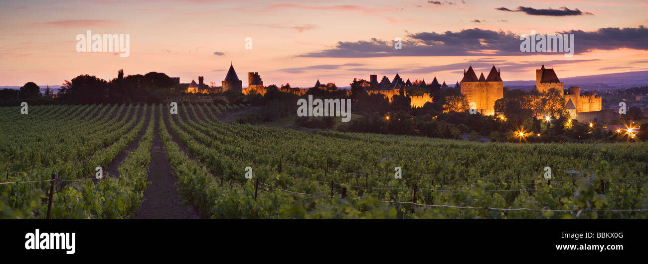 Carcassonne at dusk from vineyards outside the city. Languedoc Rousillon. France Stock Photo
