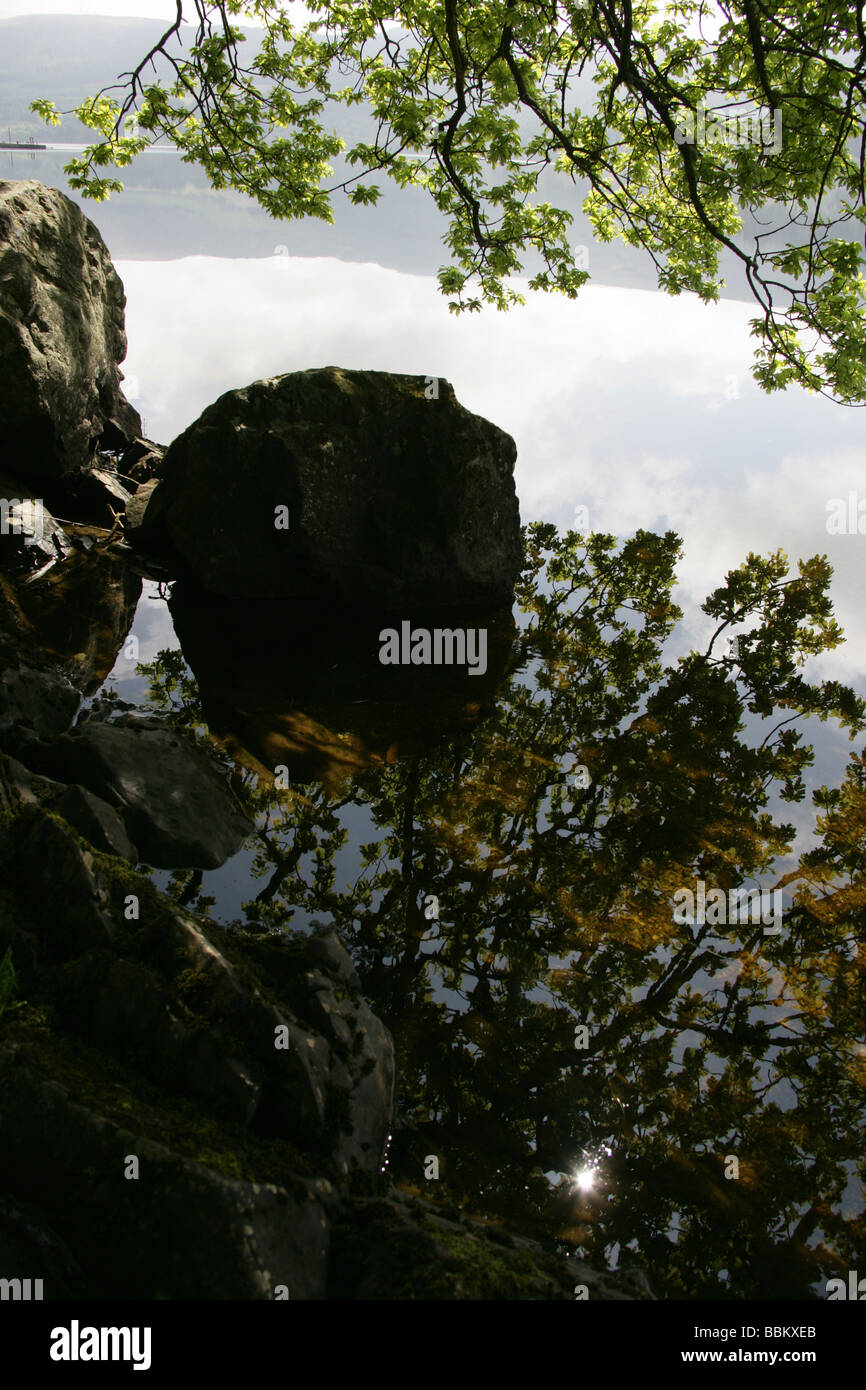 Pretty overhanging tree hi-res stock photography and images - Alamy