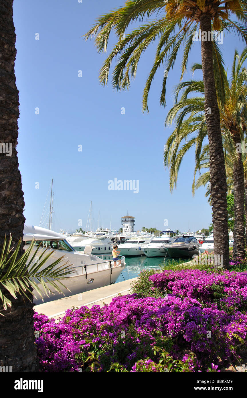 Marina view, Puerto Portals, Portal Nous / Bendinat, Palma Municipality, Mallorca, Balearic Islands, Spain Stock Photo